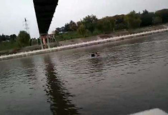 男子突然夺过婴儿扔桥下 两名路人下河救援