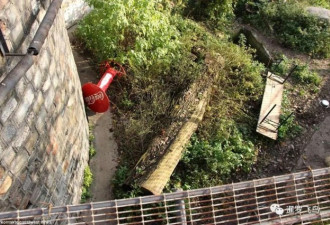女饲养员遭老虎疯狂撕咬 游客施救 捡回一命
