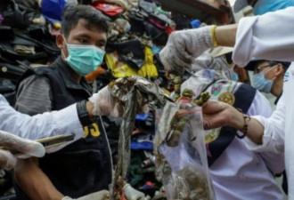 印尼计划将210吨的“洋垃圾”遣返回澳大利亚