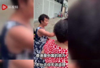 立法会外怒斥反对派 香港大妈：我以中国人为豪