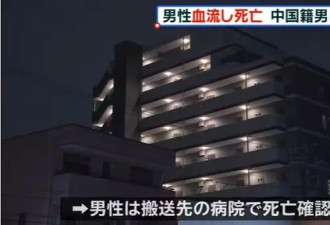 刚到日本的中国留学生被同胞室友捅死！
