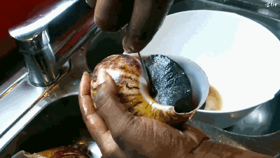 非洲人把蜗牛吃到灭绝 疯狂起来不输中国人
