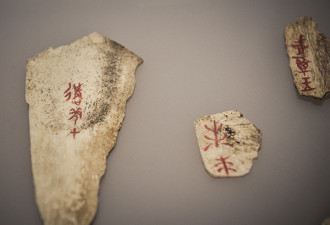 中国甲骨文入选联合国《世界记忆名录》
