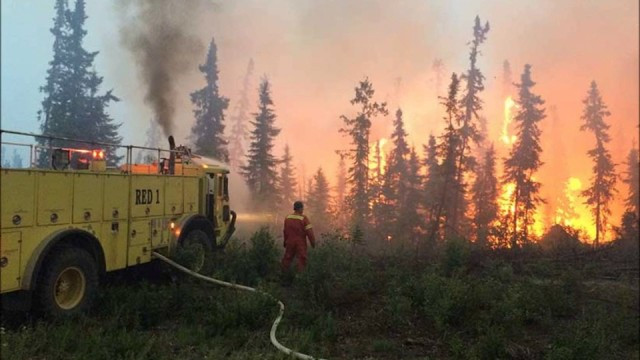 “canada forest fire”的图片搜索结果