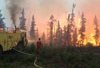 加拿大男子纵火引发森林大火 罚款4万