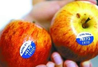 抗褐变转基因苹果在美上市 为基因编辑食品铺路