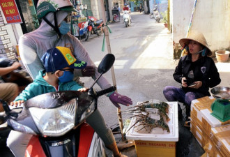 越南：台风过后女子贱卖大龙虾 一只仅78元