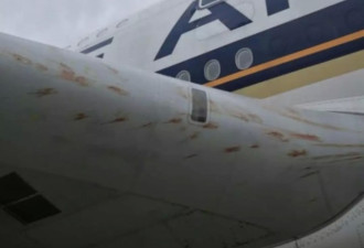 新加坡航空飞机撞上鸟群，场面血腥，惨不忍睹