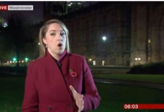 BBC女记者报道时传出淫叫声  吓坏众人