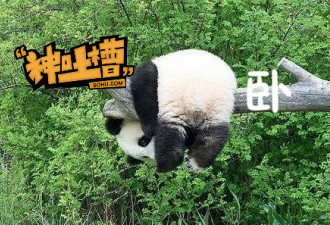 一不小心就跟妈妈同辈了 真是令人窒息的操作