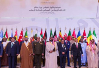 沙特王储组41国峰会 立誓将恐怖主义赶出地球