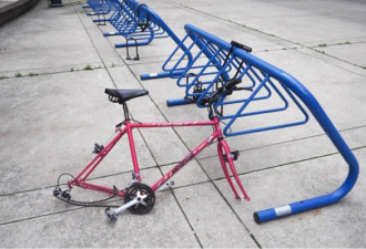 还要啥自行车？多伦多单车盗窃猖獗令人头疼！