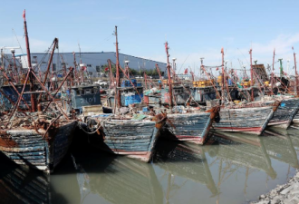 中国渔船趁黑在韩国海域游击式捕捞 数量增六成