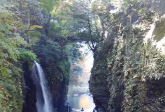 探访九州神话梦境，体验森林与河流的夏日巡礼