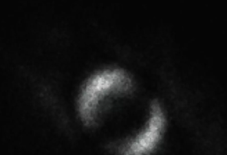 人类拍到第一张量子纠缠照：孪生光子组成指环