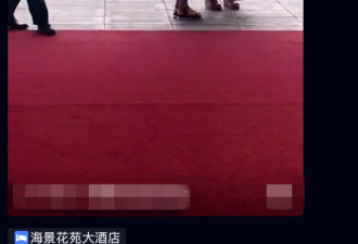 郎朗娇妻露面 美貌与身材惊艳但腹部好像有情况