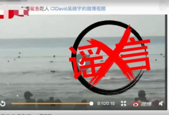 三亚“鲨鱼咬人”视频疯传引游客恐慌 官方辟谣
