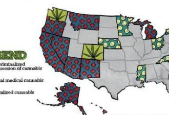 政府合法经营的大麻产业巨亏原因居然是