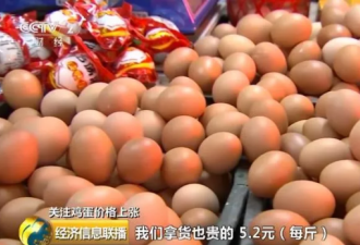 1筐鸡蛋半个月涨20元！国内蛋价不“淡定”了