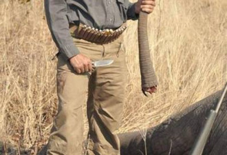 特朗普儿子割大象尾巴照片引发热议