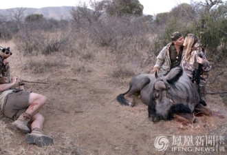 特朗普儿子割大象尾巴照片引发热议