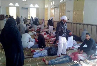 埃及清真寺大屠杀 机枪扫射已致235死