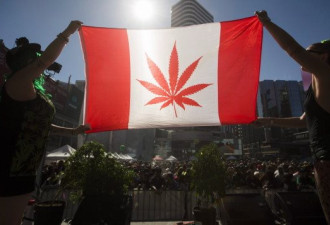 同样大麻法案：安省和魁北克省大不相同