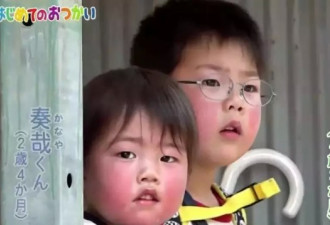泪目！日本4岁哥哥带着2岁弟弟 为去世父亲买花