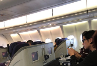网友飞机上偶遇王菲和李嫣 女神侧颜漂亮有气质