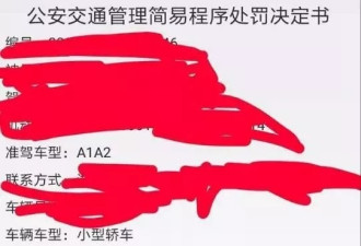 轿车未让行人被罚 司机叫屈：她们玩手机没走