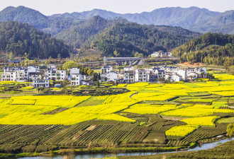 美国奇人奇事：他为何从20岁起与世隔绝30年？