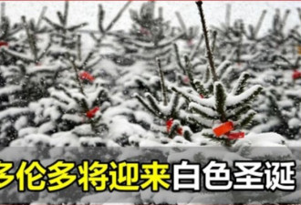 今年圣诞节大雪将持续7天