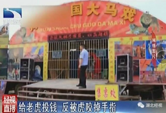给老虎投钱被咬掉手指老人:老虎辨别不了钱