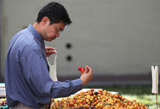中国人吃樱桃 也得听中共政治导向？