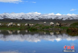 太奇妙！甘肃河西湿地四季景色“同框”