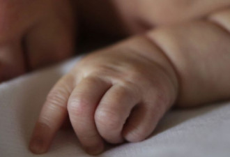 悉尼3个月大婴儿遭虐，身体多处严重受伤