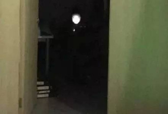 网友分享曾经拍到过的沙雕照片，笑到昏厥