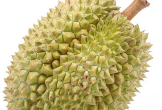 马来西亚的榴莲就快被中国人吃灭绝了