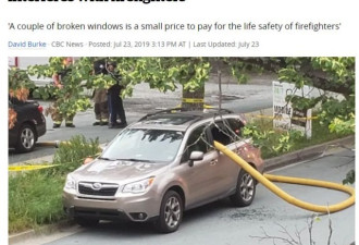 在加拿大把车停在消防栓前有什么后果？