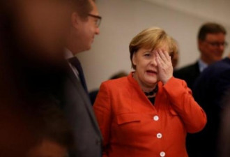 德国总统施泰因迈尔反对重新进行选举