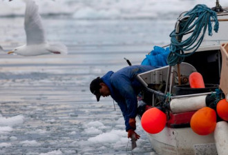 历史性协议：加中美俄等国签署北冰洋禁渔协议