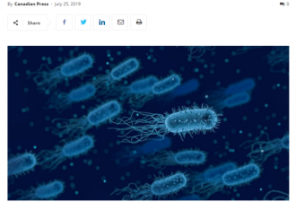 厉害了！安省华裔科学家团队研究出噬菌体凝胶