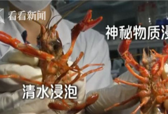 商贩用洁厕液洗小龙虾 食用将影响人体免疫系统