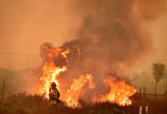野火烧好莱坞明星豪宅圣塔芭芭拉两千消防护城
