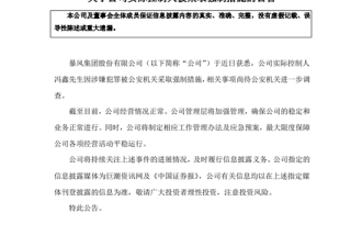 暴风集团实控人冯鑫因涉嫌犯罪被采取强制措施