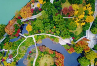 杭州最美季节 空中俯瞰色彩斑斓宛如画卷