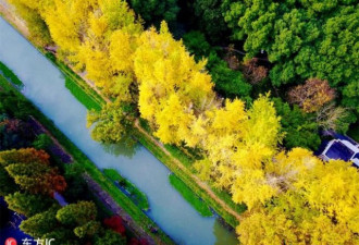 杭州最美季节 空中俯瞰色彩斑斓宛如画卷
