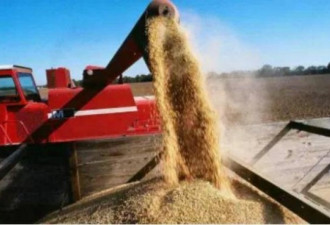 上海贸谈前夕 中国宣布从俄罗斯进口大豆