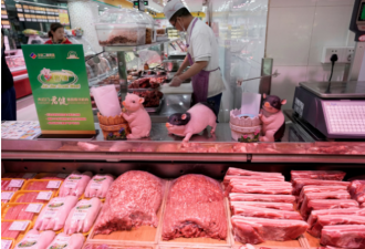 中国伸出橄榄枝，传批准免关税购美国猪肉玉米