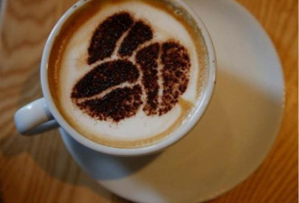 每天3杯咖啡 有效降低心肝疾病机率